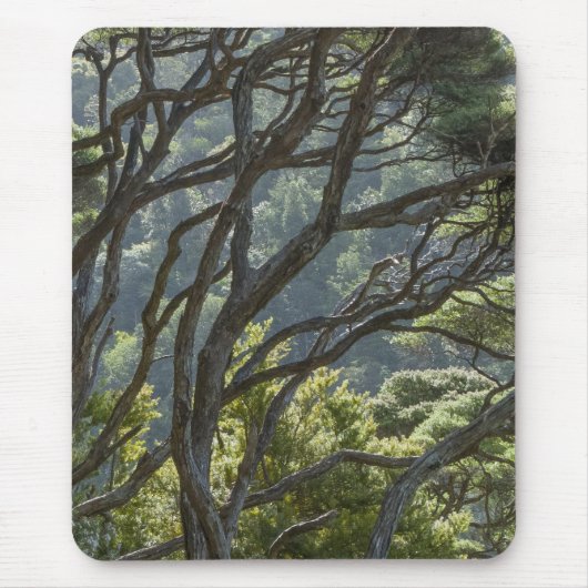 Manuka Tree Forest Neuseeland Mousepad (Vorne)