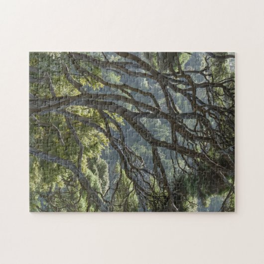Manuka Tree Forest Neuseeland Puzzle (Horizontal)