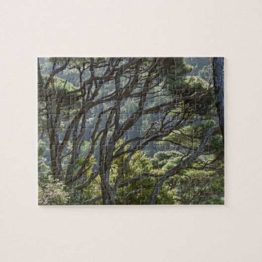 Manuka Tree Forest Neuseeland Puzzle (Horizontal)