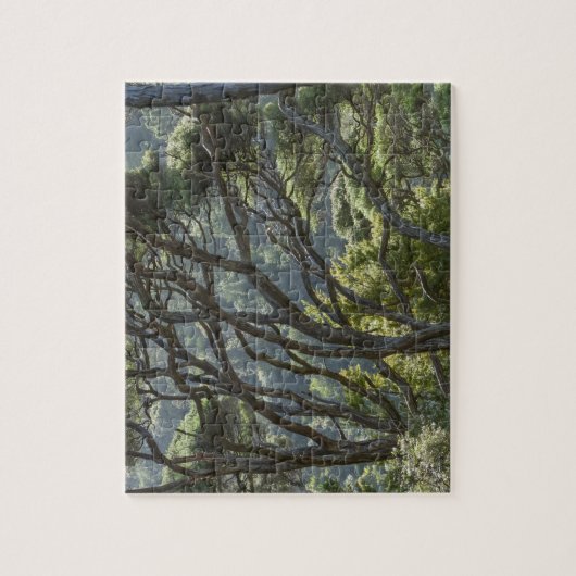 Manuka Tree Forest Neuseeland Puzzle (Vertikal)