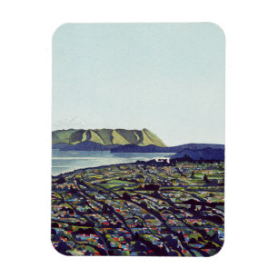 Manukau Heads Magnet