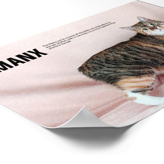 Manx Cat Breed Poster (Ecke)