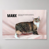 Manx Cat Breed Poster (Vorne)
