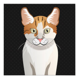 Manx Cat Cartoon Paws Fotodruck