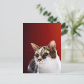 Manx Cat Postkarte (Stehend Vorderseite)