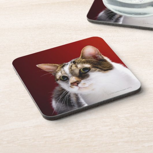 Manx Katze Getränkeuntersetzer (Linke Seite)