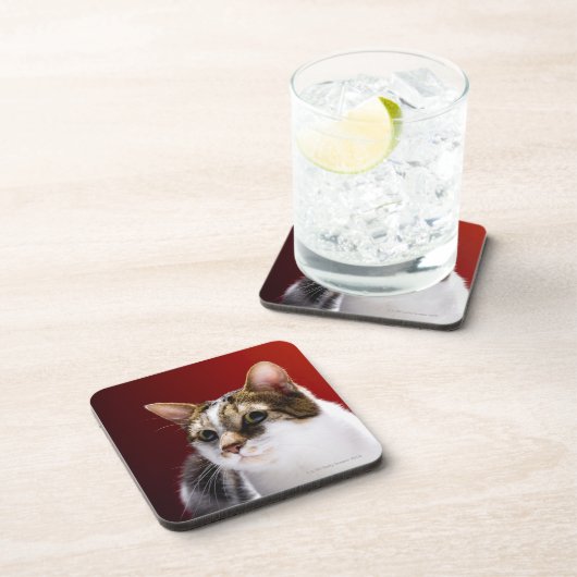 Manx Katze Getränkeuntersetzer (Rechte Seite)
