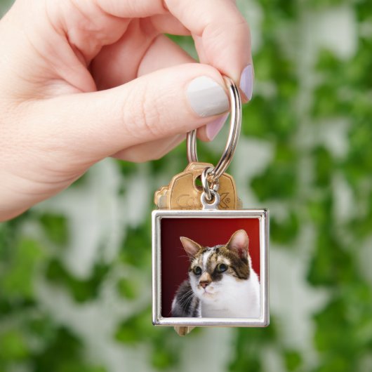 Manx Katze Schlüsselanhänger (Hand)