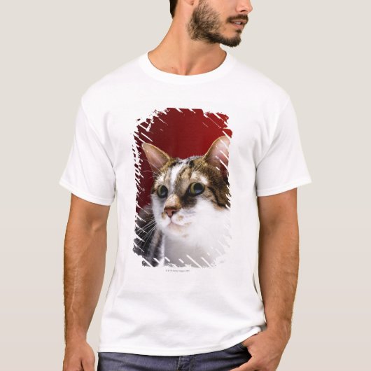 Manx Katze T-Shirt (Vorderseite)