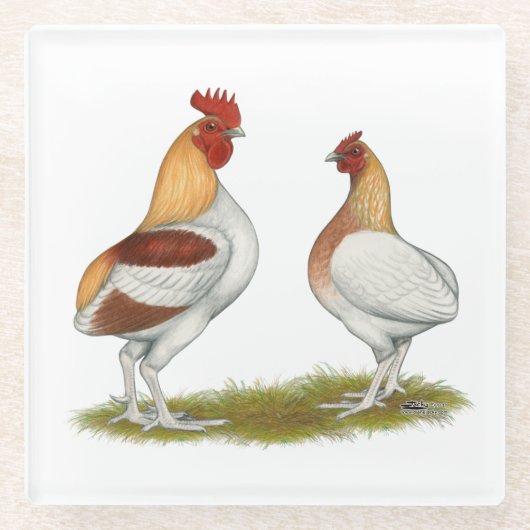 Manx Rumpies Glasuntersetzer (Vorderseite)