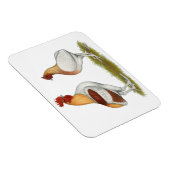 Manx Rumpies Magnet (Rechte Seite)