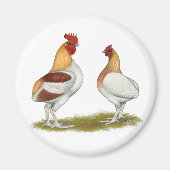 Manx Rumpies Magnet (Vorne)