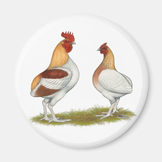 Manx Rumpies Magnet (Vorne)