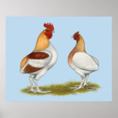 Manx Rumpies Poster (Vorne)