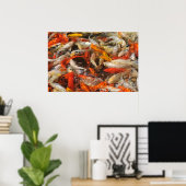 Many koi carp multicolor poster (Heimbüro)