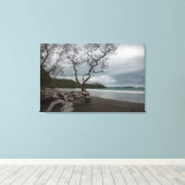 Manzanillo Leinwanddruck (Insitu (Holzboden))