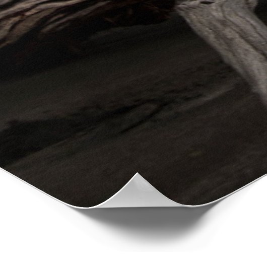 Manzanillo Poster (Ecke)