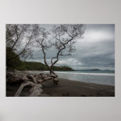 Manzanillo Poster (Vorne)