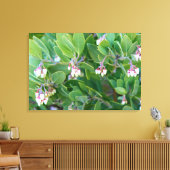 Manzanita Blume gepackt Leinwand (Insitu (Wohnzimmer))