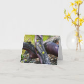 Manzanita Grußkarte Karte (Gelbe Blume)