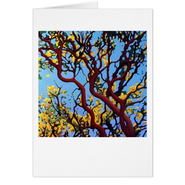 Manzanita im Herbst (Vorne)