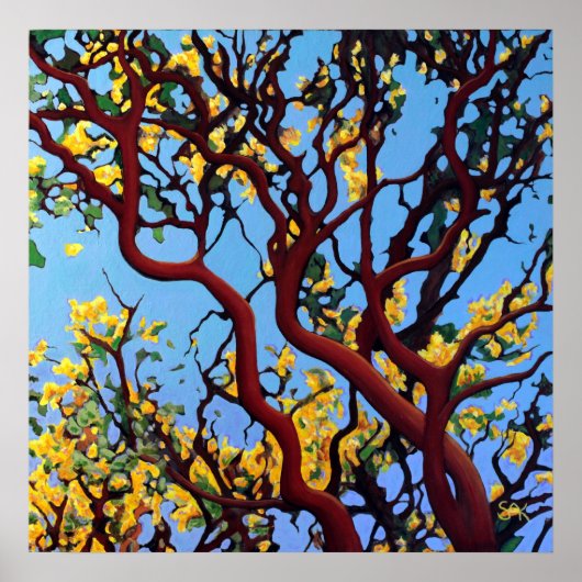 Manzanita im Herbst Poster (Vorne)