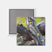 Manzanita Magnet (Vorderseite/Rückseite)