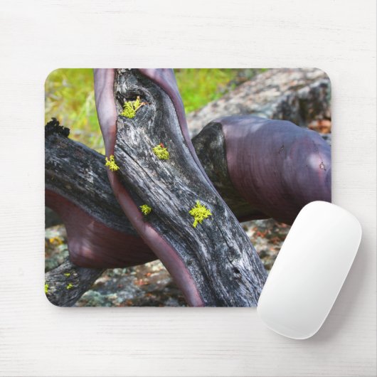 Manzanita Mousepad (Mit Mouse)