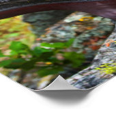 Manzanita Poster (Ecke)