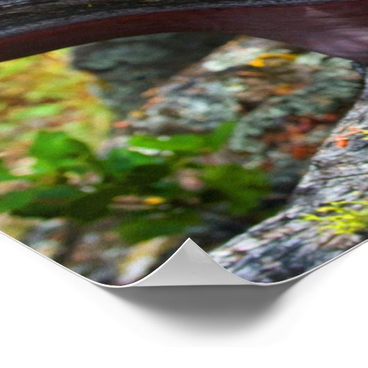 Manzanita Poster (Ecke)