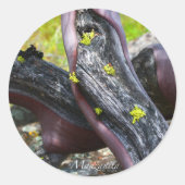Manzanita Sticker (Vorderseite)