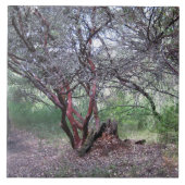Manzanita Tree Fliese (Vorderseite)