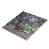 Manzanita Tree Fliese (Seite)