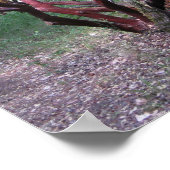 Manzanita Tree Poster (Ecke)