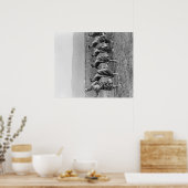 Maori War Dance Fotograf Poster (Küche)