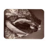 Maori Women, Neuseeland Magnet (Horizontal)