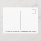 Maori Women, Neuseeland Postkarte (Rückseite)