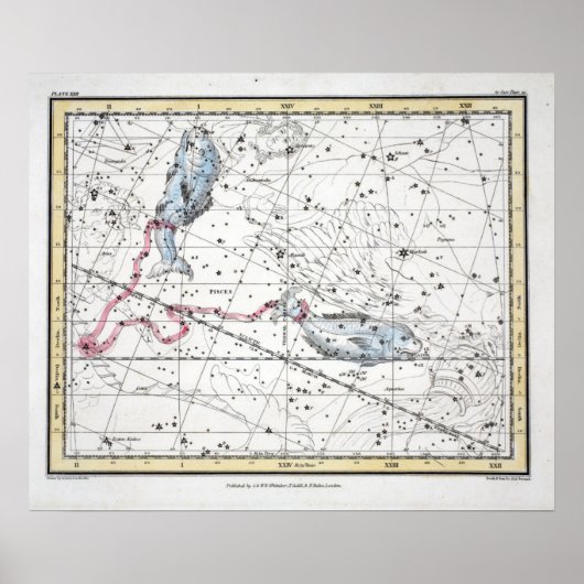Map of The Constellations Plate XXII Poster (Vorne)