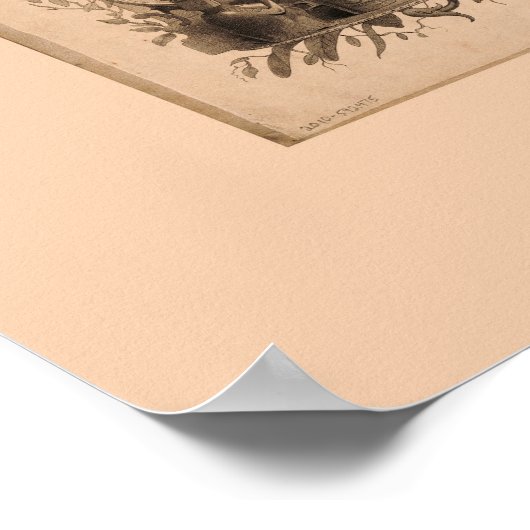 Mapa del Peru (1862) Poster (Ecke)