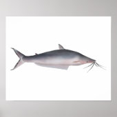 Mapará Poster (Vorne)