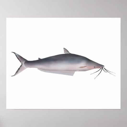 Mapará Poster (Vorne)