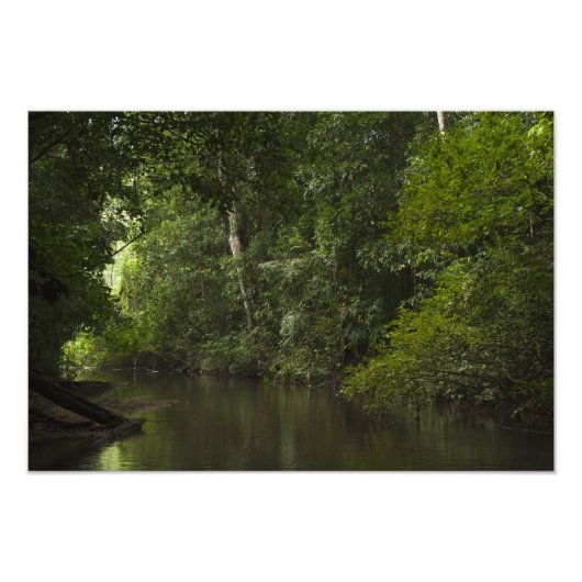Mapari-Fluss, Mapari Rupununi, Guyana. Fotodruck (Vorne)