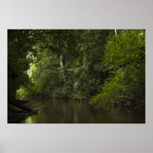 Mapari-Fluss, Mapari Rupununi, Guyana. Poster