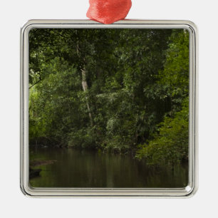 Mapari-Fluss, Mapari Rupununi, Guyana. Silbernes Ornament