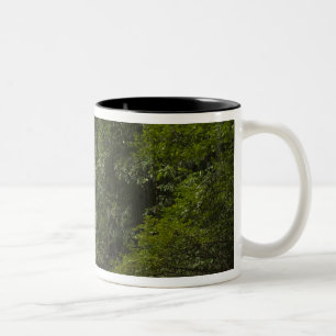 Mapari-Fluss, Mapari Rupununi, Guyana. Zweifarbige Tasse