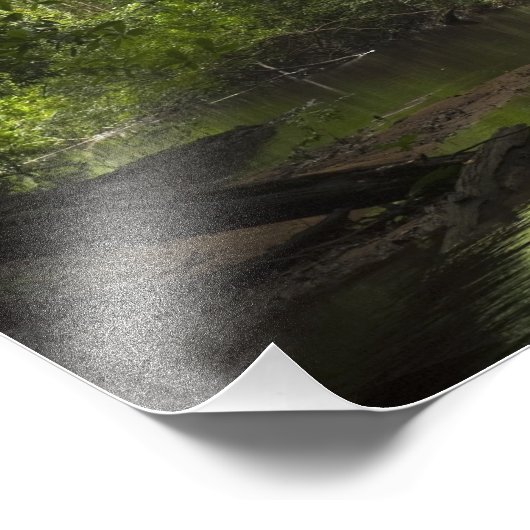 Mapari River, Mapari Rupununi, Guyana. Fotodruck (Ecke)