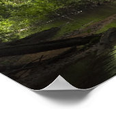 Mapari River, Mapari Rupununi, Guyana. Poster (Ecke)