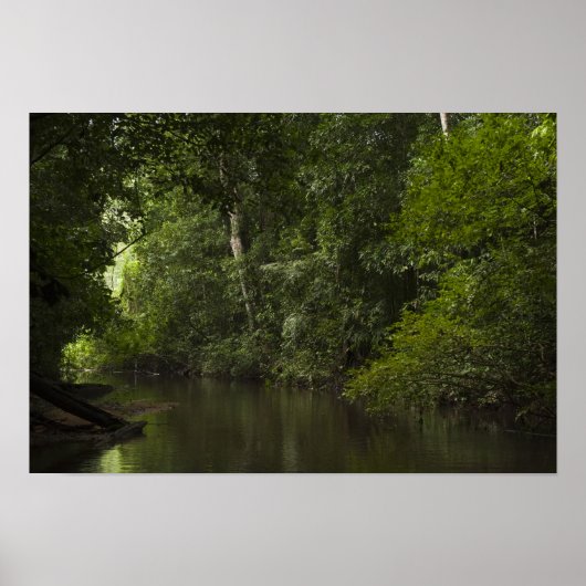 Mapari River, Mapari Rupununi, Guyana. Poster (Vorne)