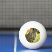 Mapified - Zebra Tischtennisball (Netto)