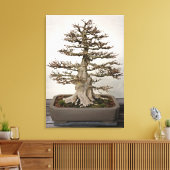 Maple Bonsai Tree Leinwanddruck (Insitu (Wohnzimmer))